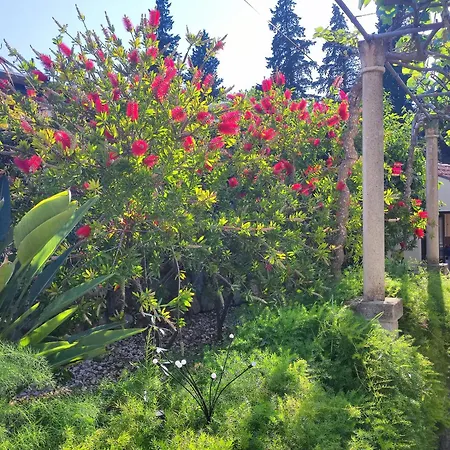 Karmela Апартаменты *